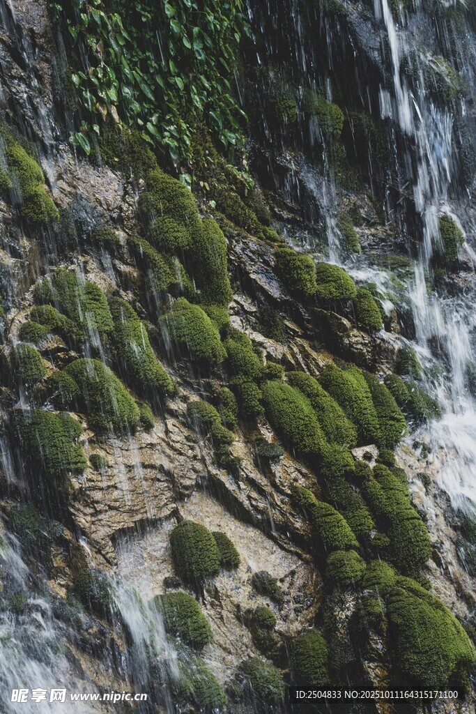山间青苔覆盖的潺潺溪流