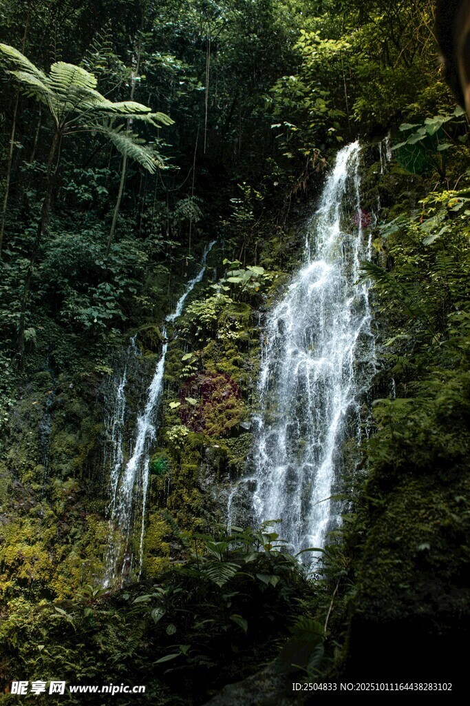 山林间的秀丽瀑布景观