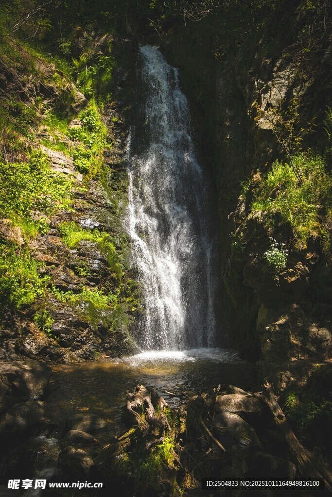 山间瀑布 绿意环绕之景