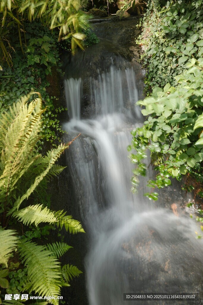 山间小瀑布 绿植环绕美景
