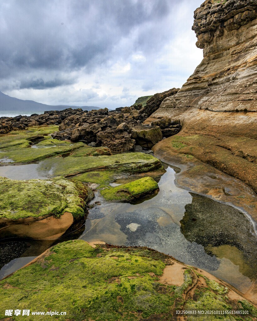 海岸苔藓覆盖的岩石景观