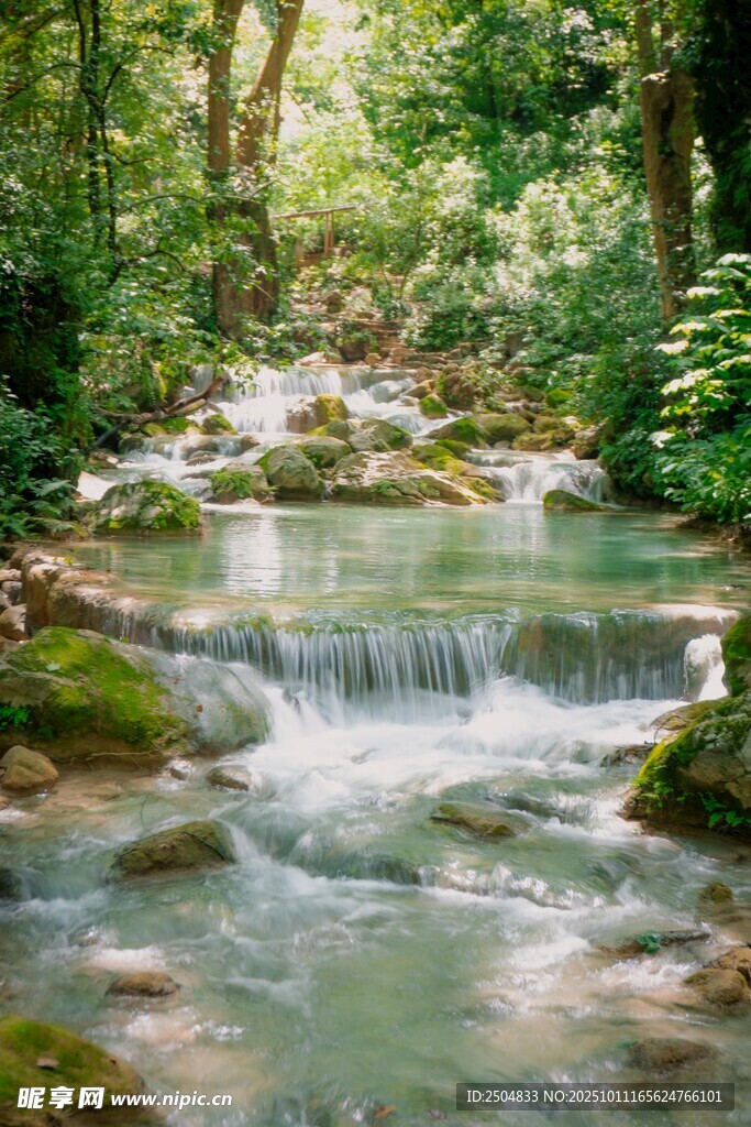林间潺潺溪流自然美景