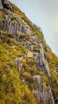 陡峭山崖上的斑斓植被
