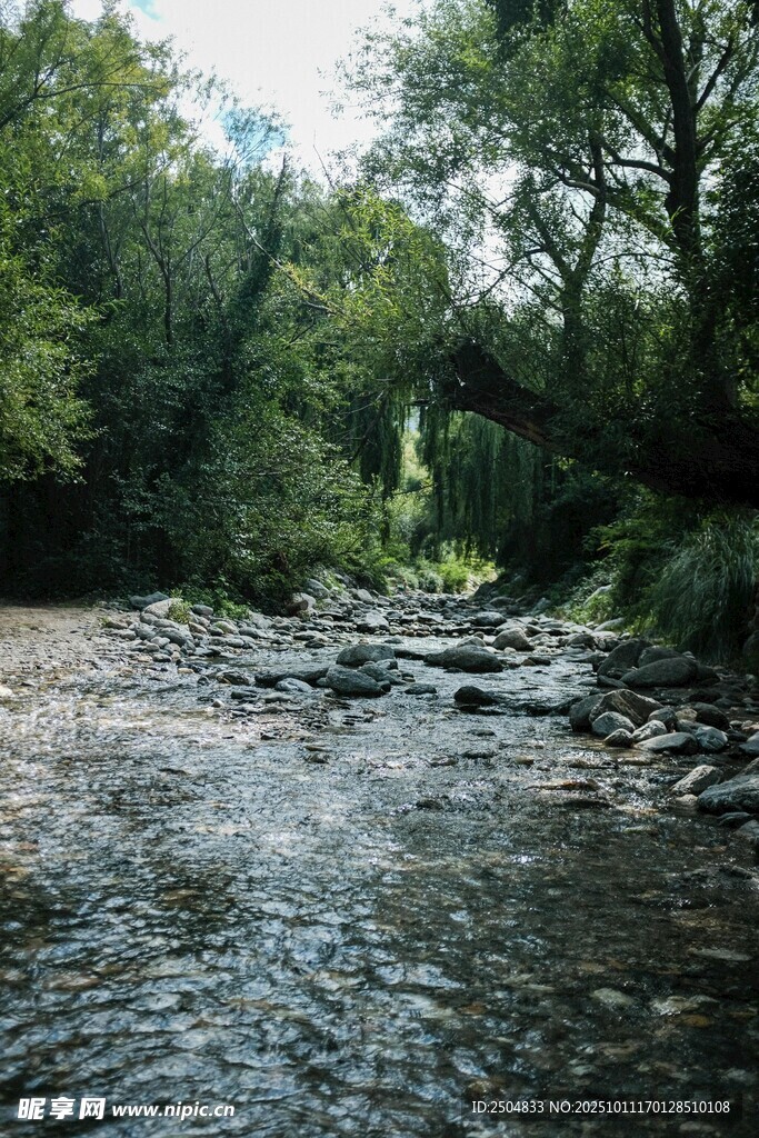 山间溪流 绿意环绕之景