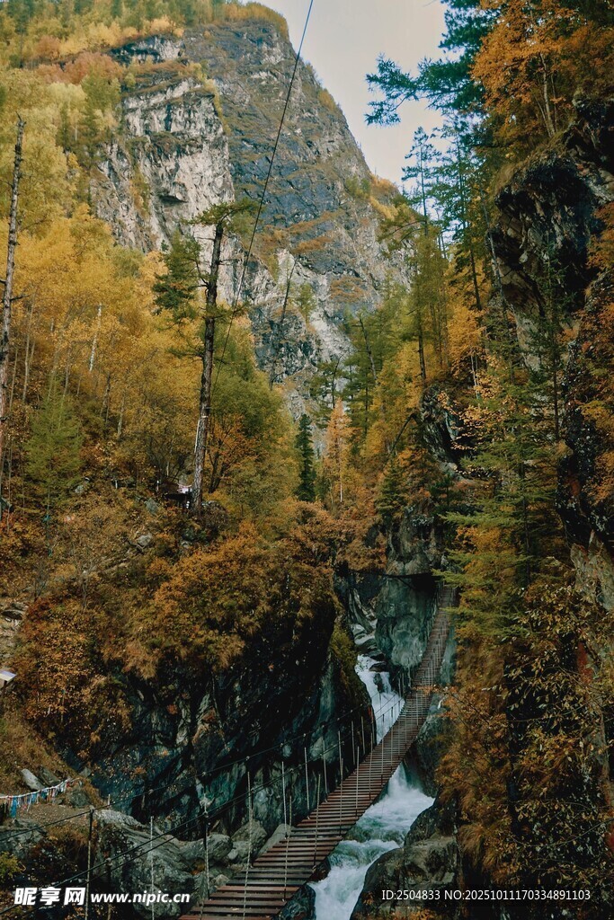 山间溪流旁的秋日美景