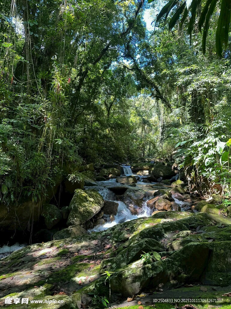 山林间的潺潺溪流