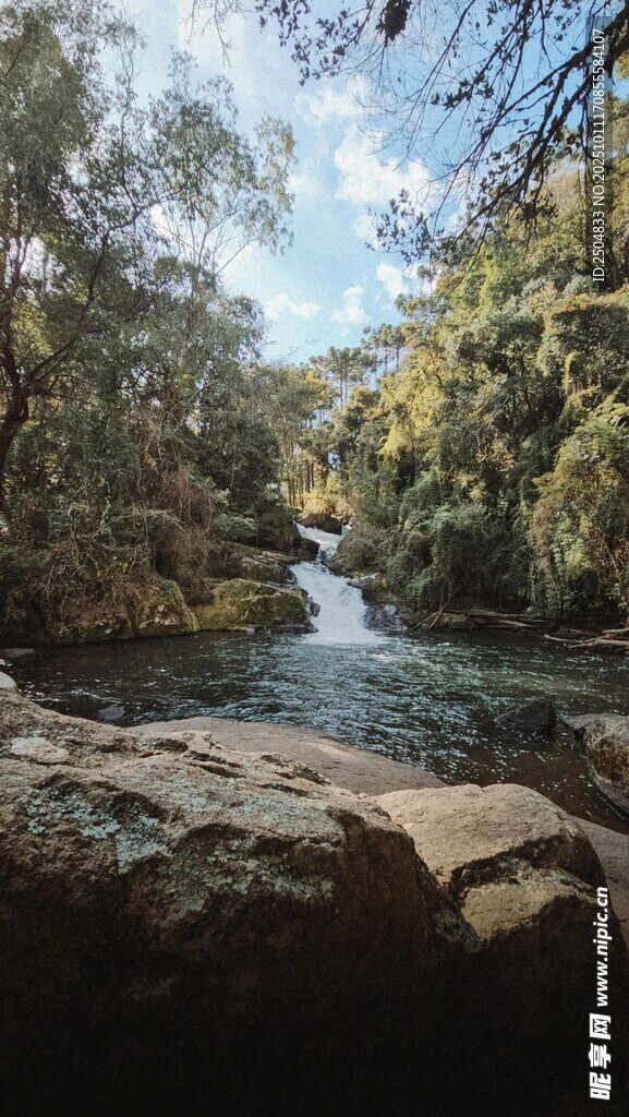 林间溪流 自然静谧之景