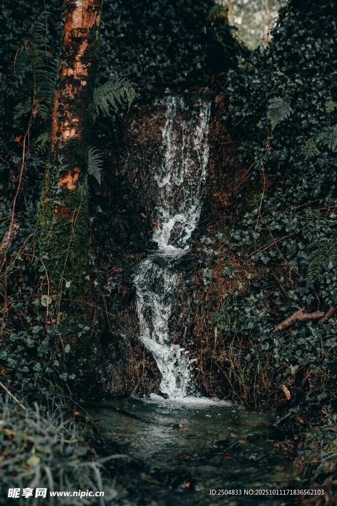 山间瀑布 自然清幽之景