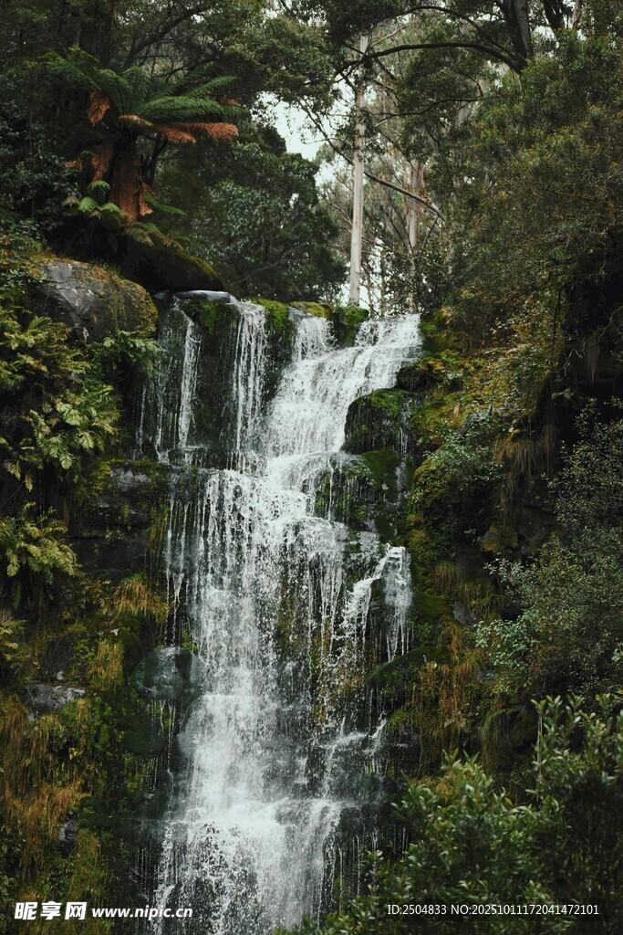山间瀑布 自然清新之景