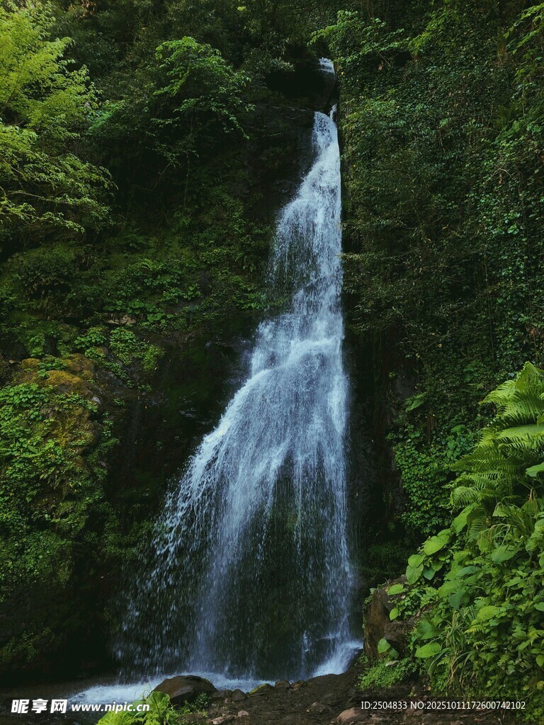 山间瀑布 绿意环绕的美景