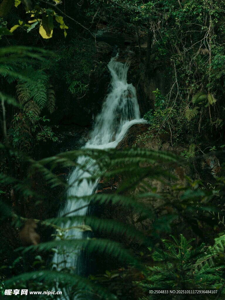 山林间的秀丽瀑布景观