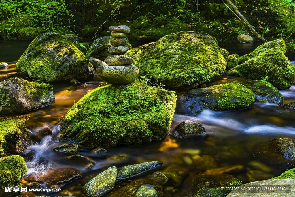山间溪流旁的翠绿苔藓景观