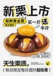 板栗海报