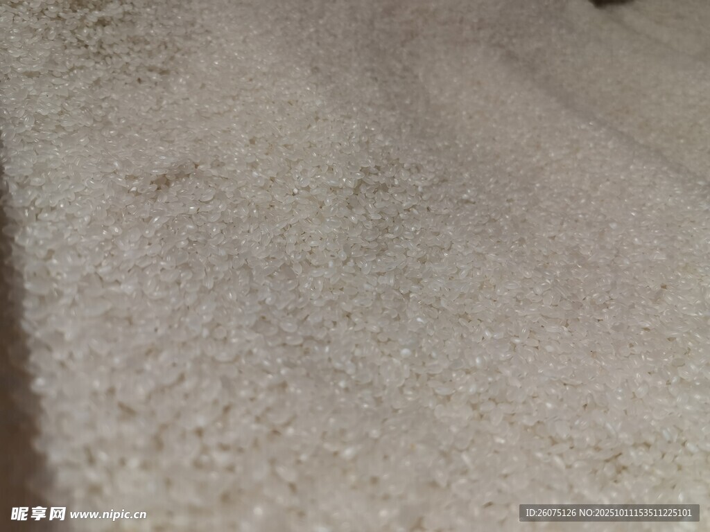 细腻白色珍珠米