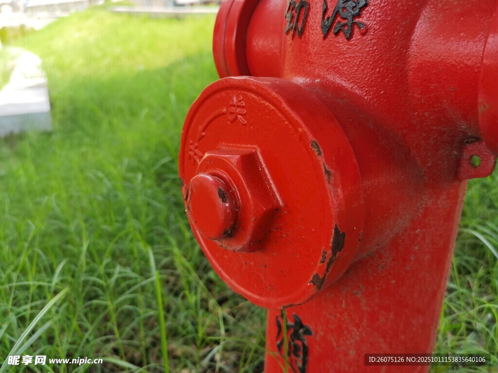 红色消防栓立于绿草地