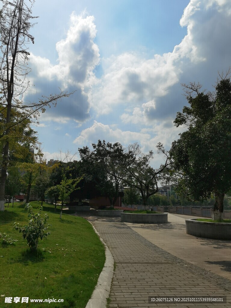 公园中的宁静小路