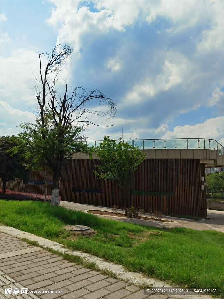 户外庭院绿植景观一角
