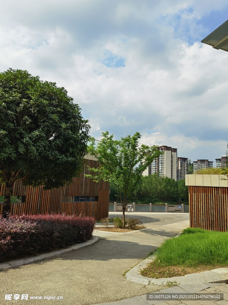 宁静庭院户外景观