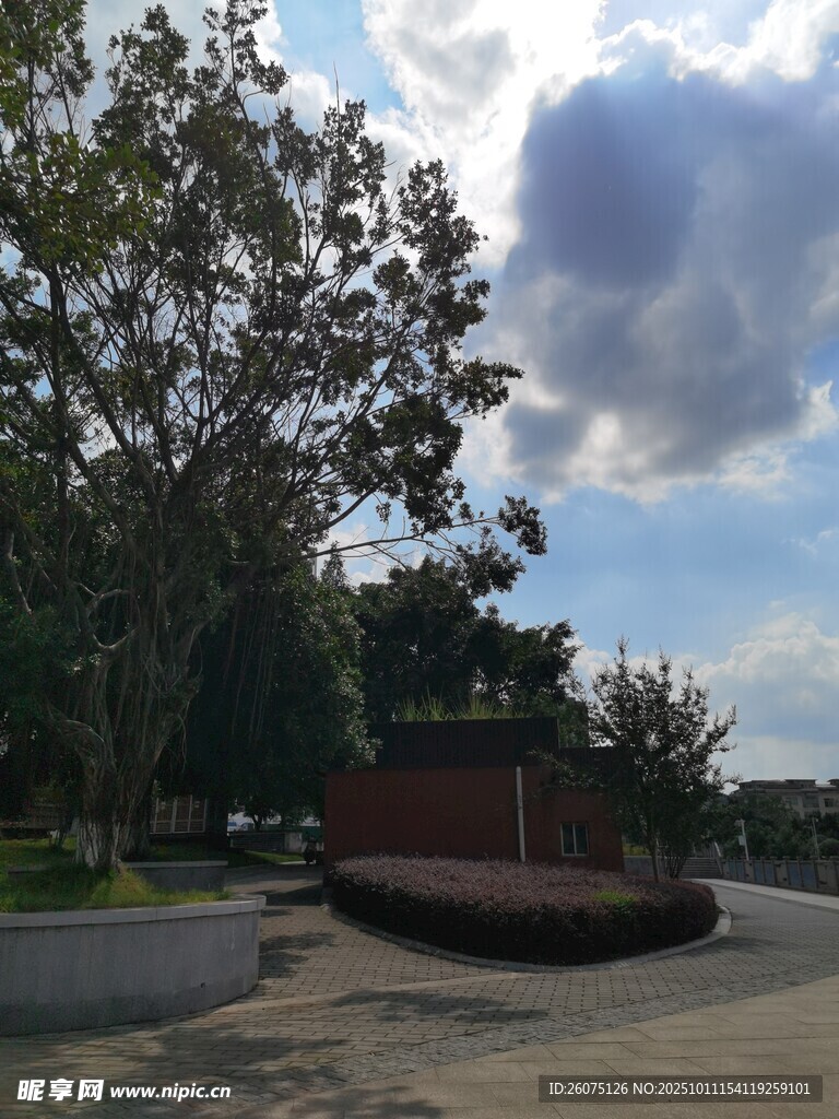 户外休闲场景中的树木建筑
