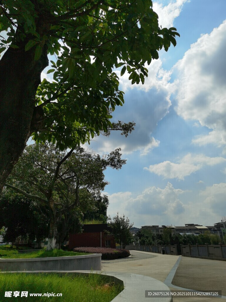 公园绿树蓝天的宁静景致