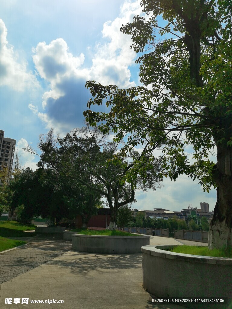 城市公园绿树蓝天景致