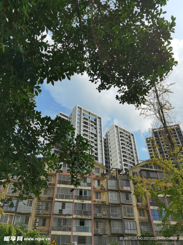 绿树掩映下的城市高楼