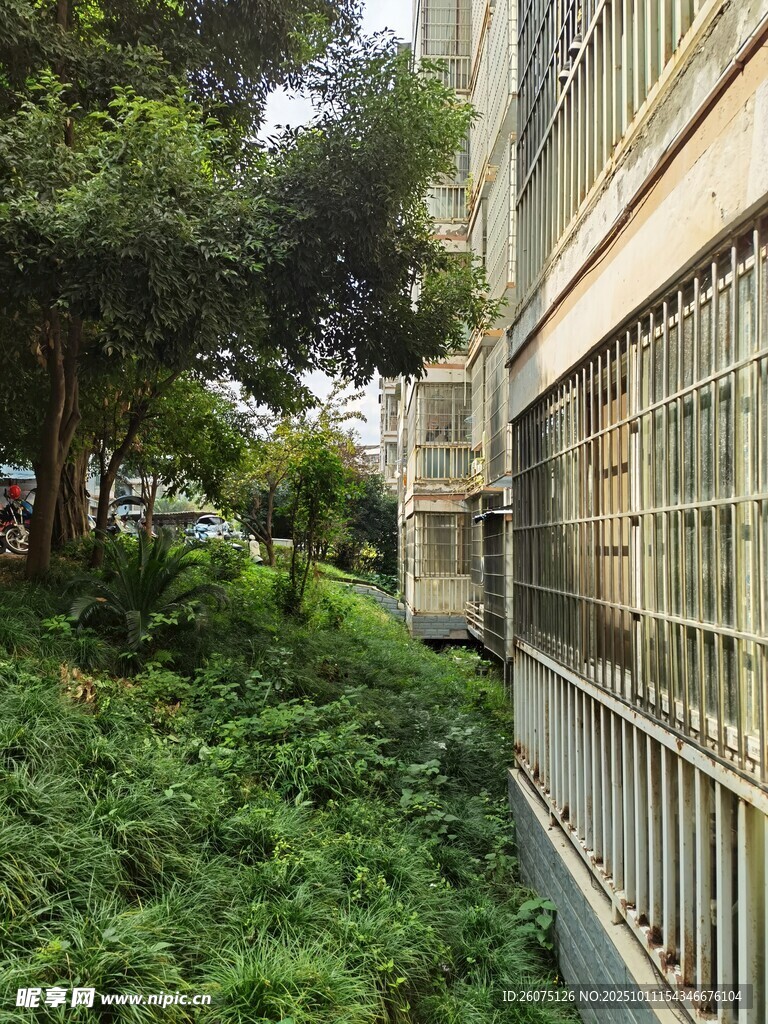 小区绿植环绕的围栏一角