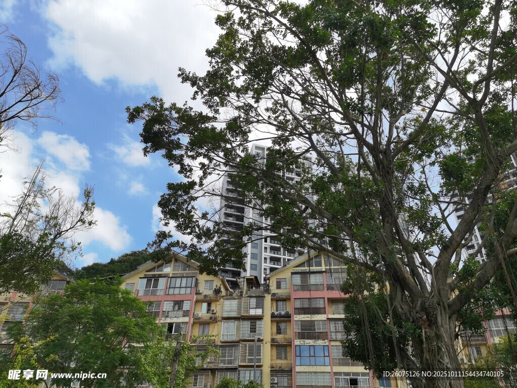 山林间错落有致的彩色房屋