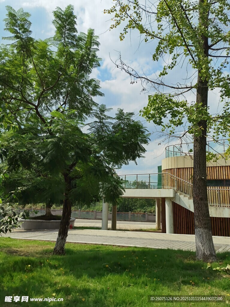 户外绿树环绕的建筑景观