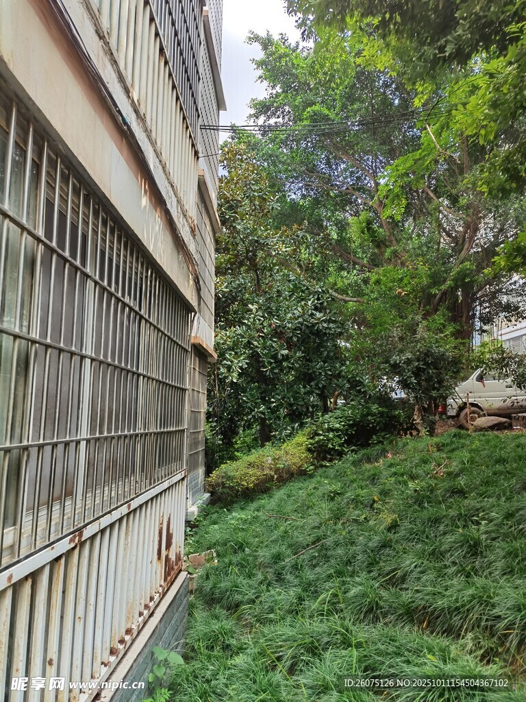 楼旁绿植与防护栏景观