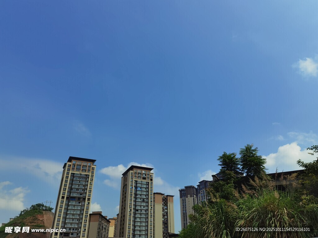 城市高楼与蓝天绿树景观