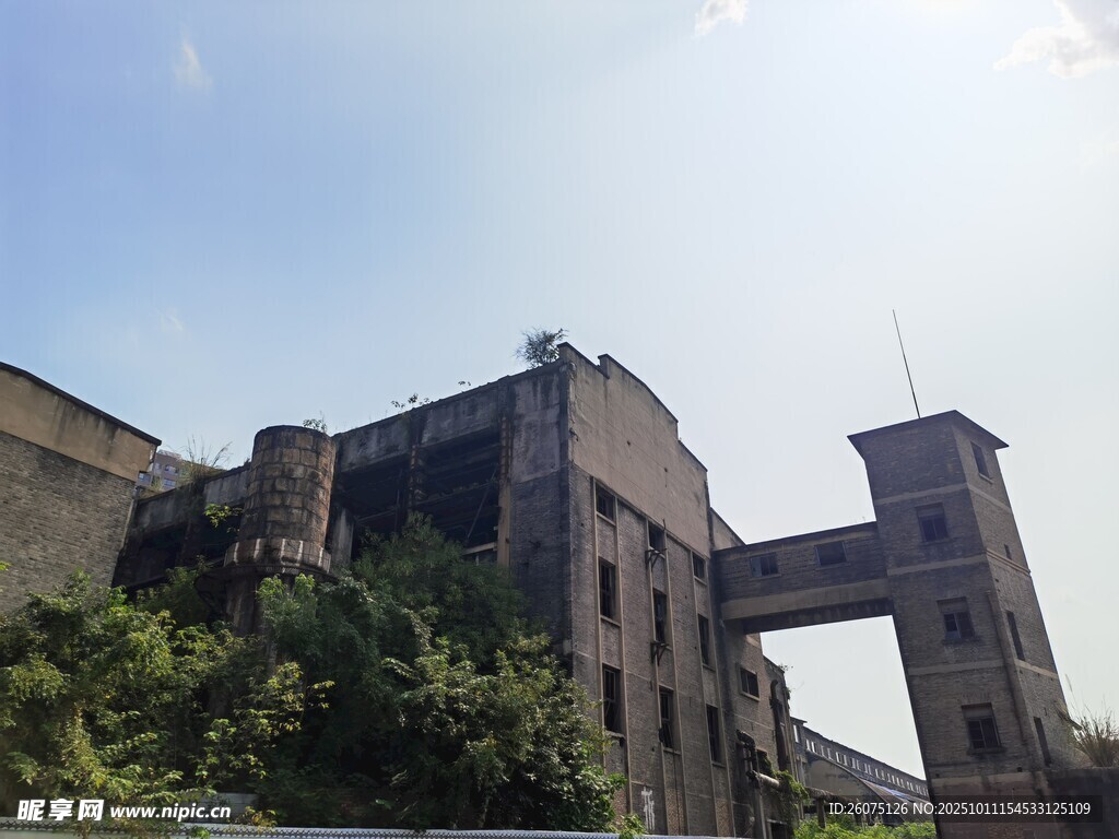 废弃工厂建筑绿植相伴