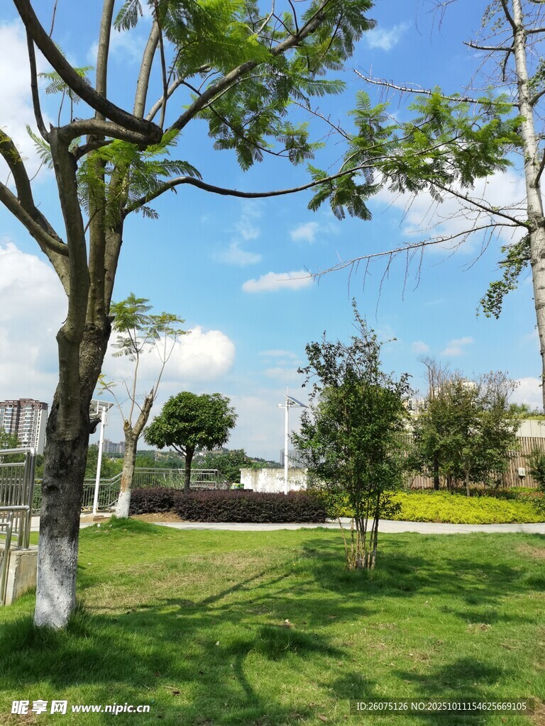 户外清新绿意园林景致