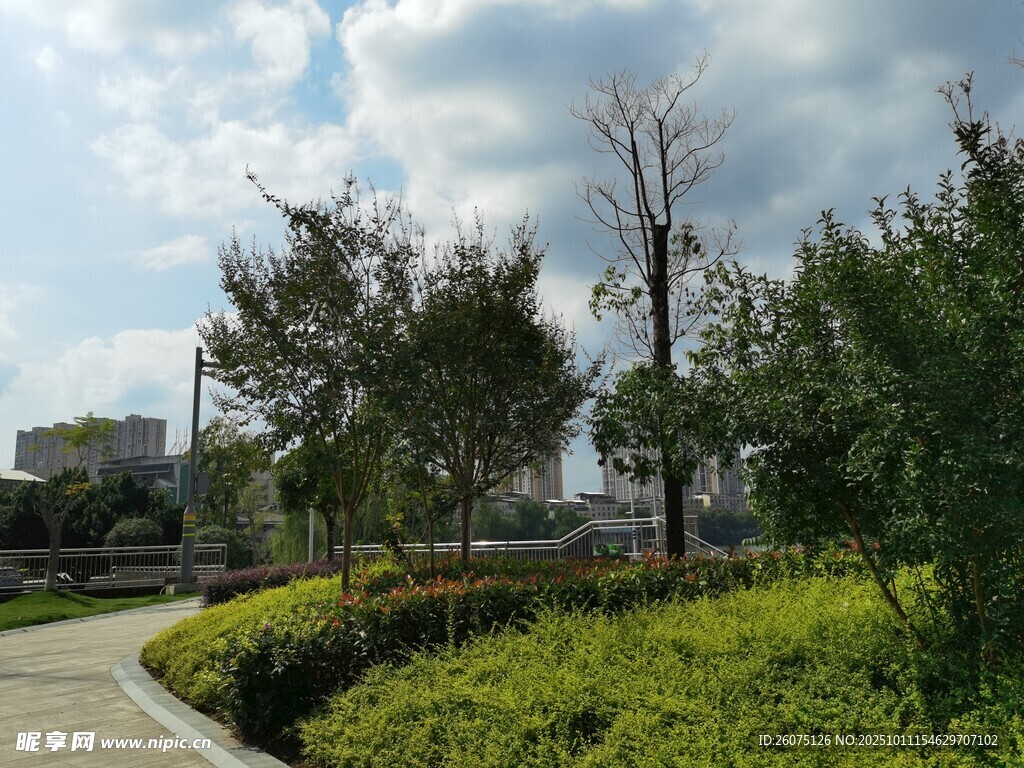城市绿化带景观