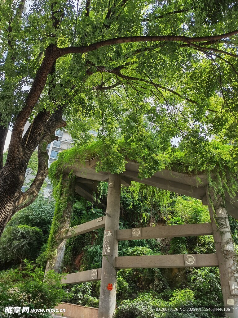 古朴木亭隐于葱郁绿荫中