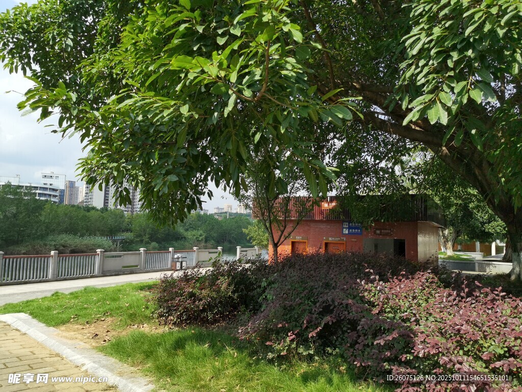 路边绿树与多彩植物景观