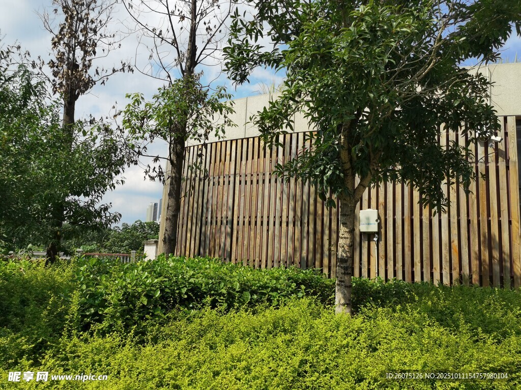 户外绿植环绕的木质建筑