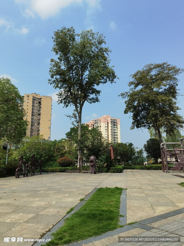 城市中的静谧绿化广场