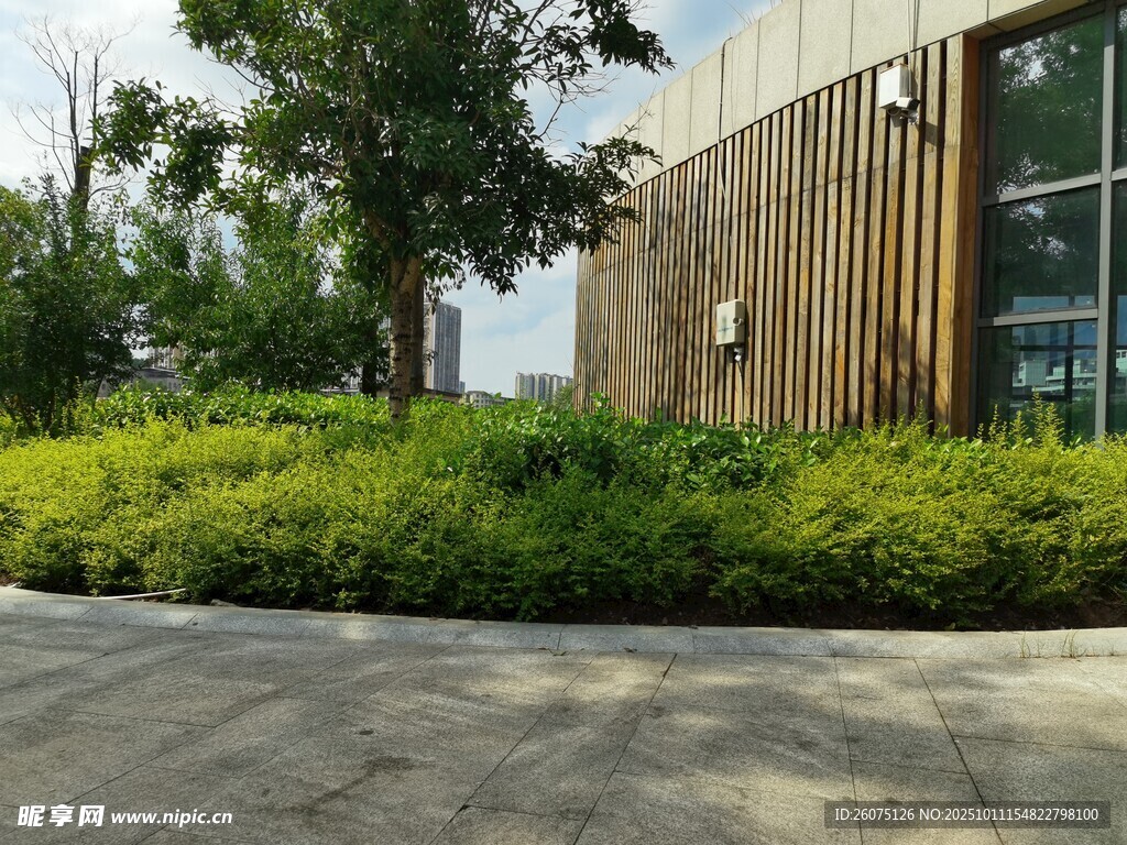 现代建筑旁的绿植景观
