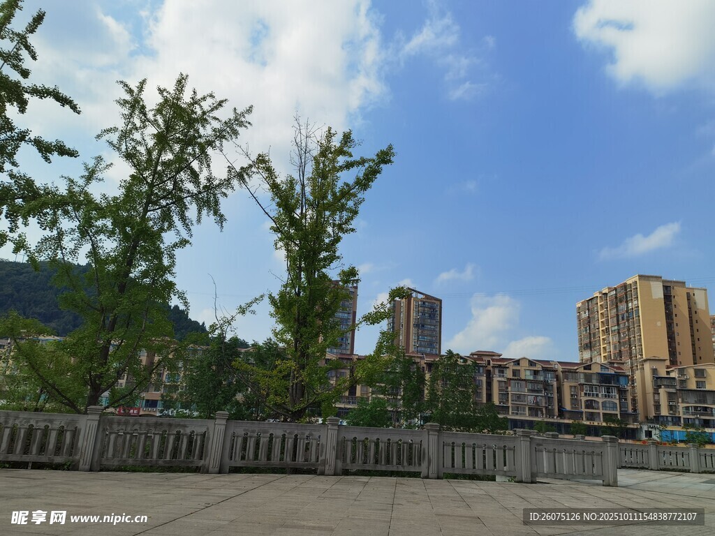 城市河畔风景