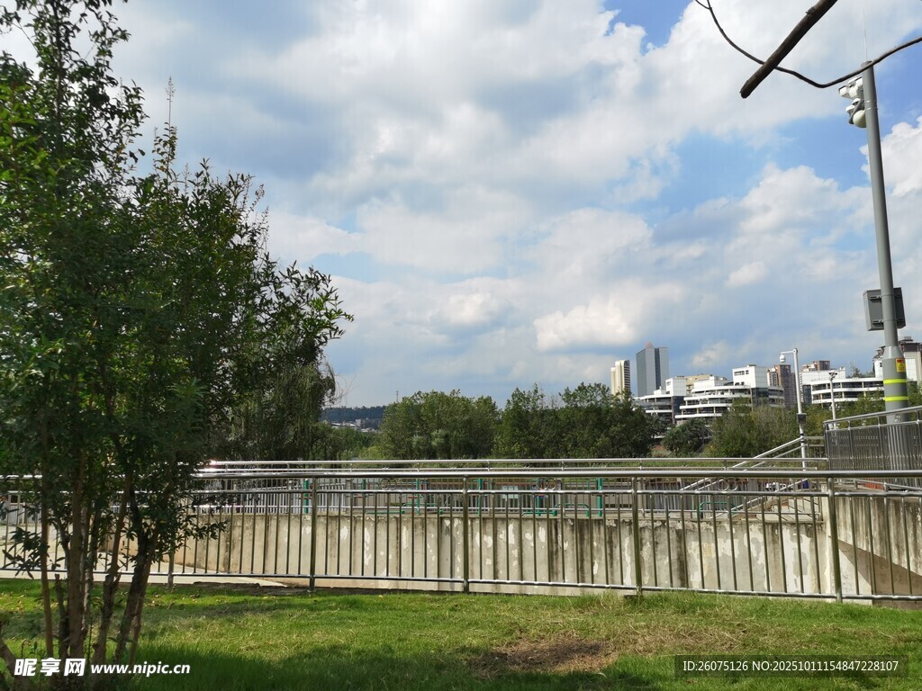 户外围栏旁的绿树与天空