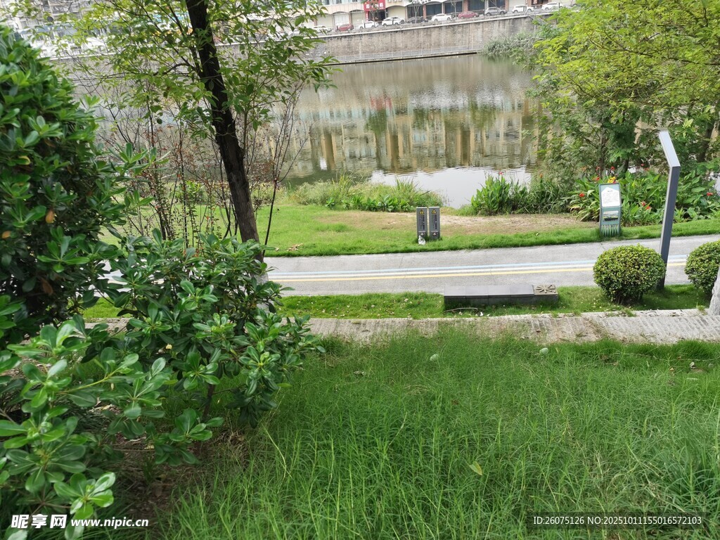 静谧庭院绿植景观