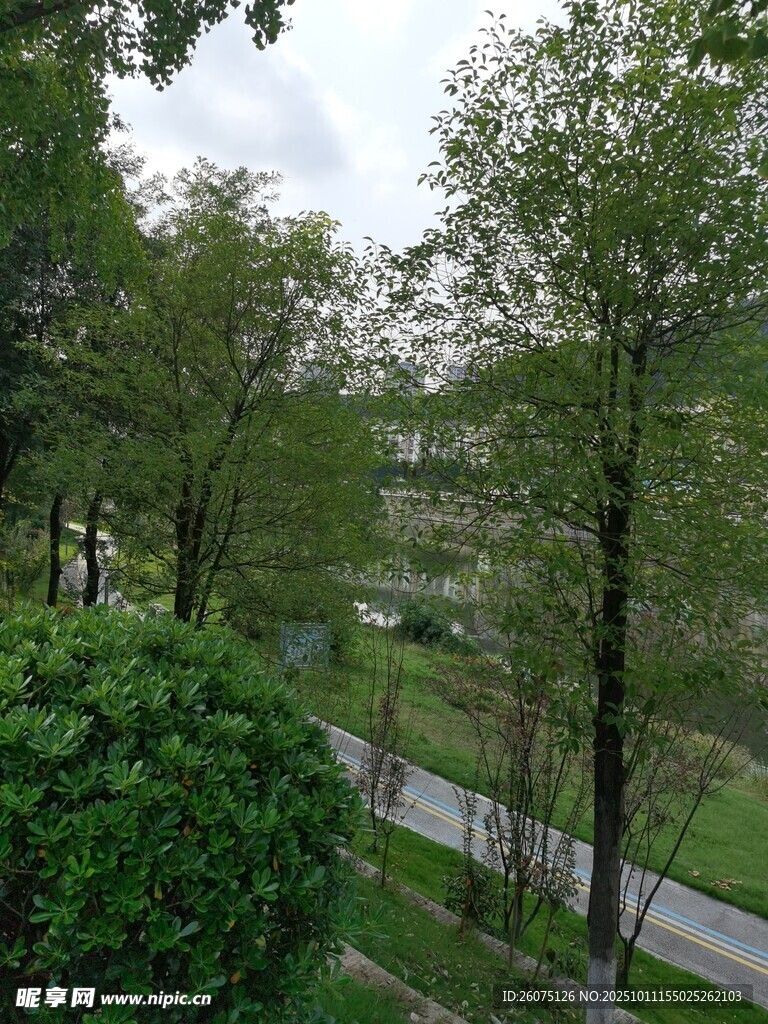 林间小路风景