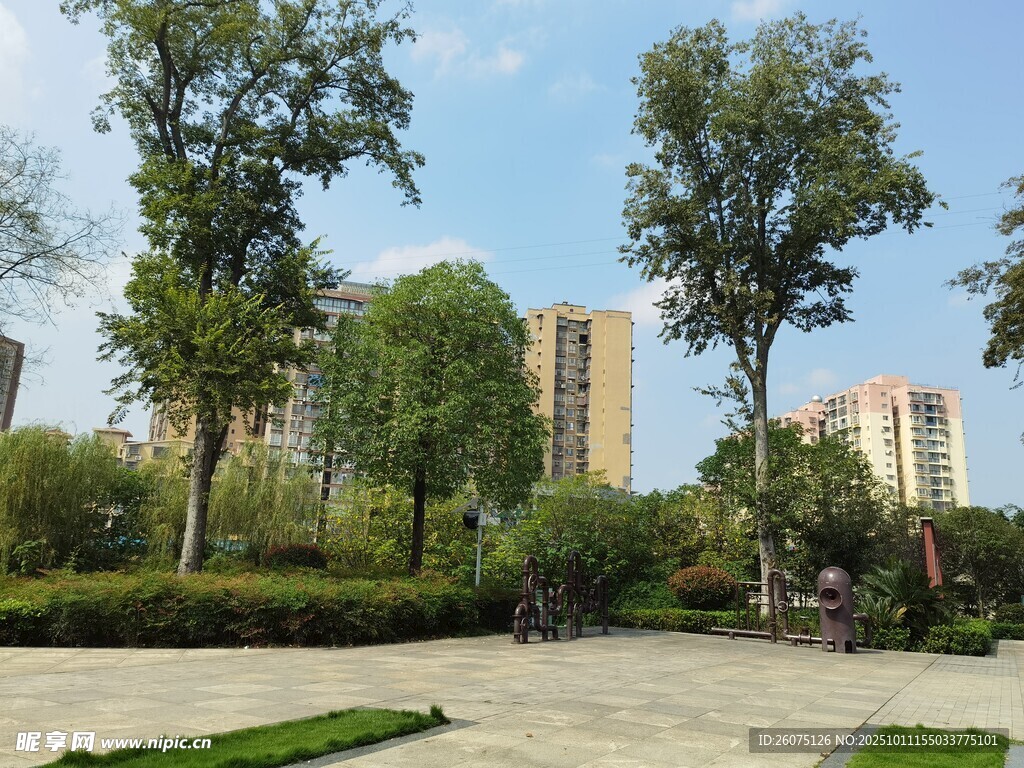 城市公园中的宁静景致