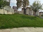 城市中绿意盎然的斜坡景观