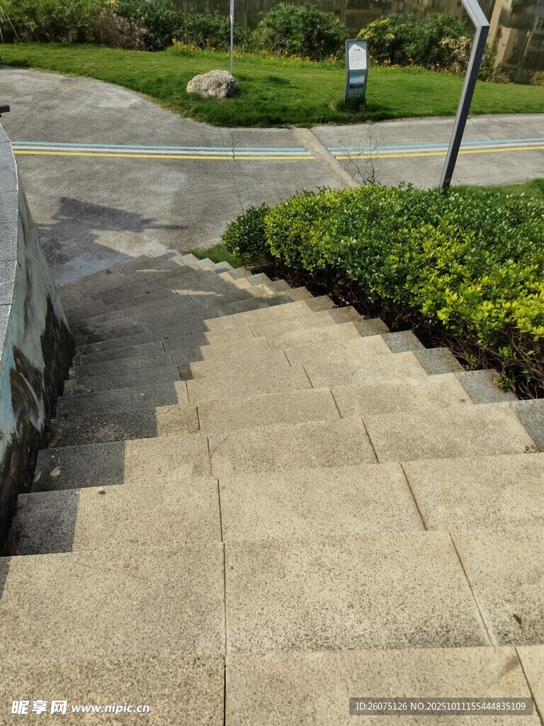 户外石阶旁的绿植景观