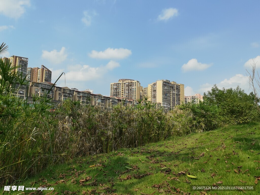 城郊草地与远处高楼景观