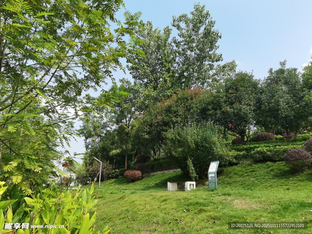 绿意盎然的户外休闲场景