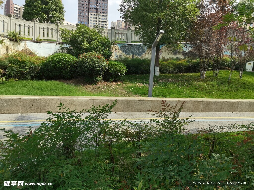 城市街边绿植景观