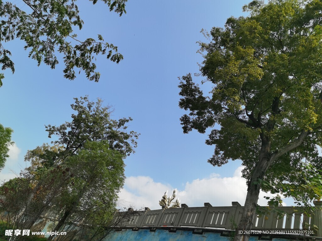 蓝天绿树旁的建筑一角